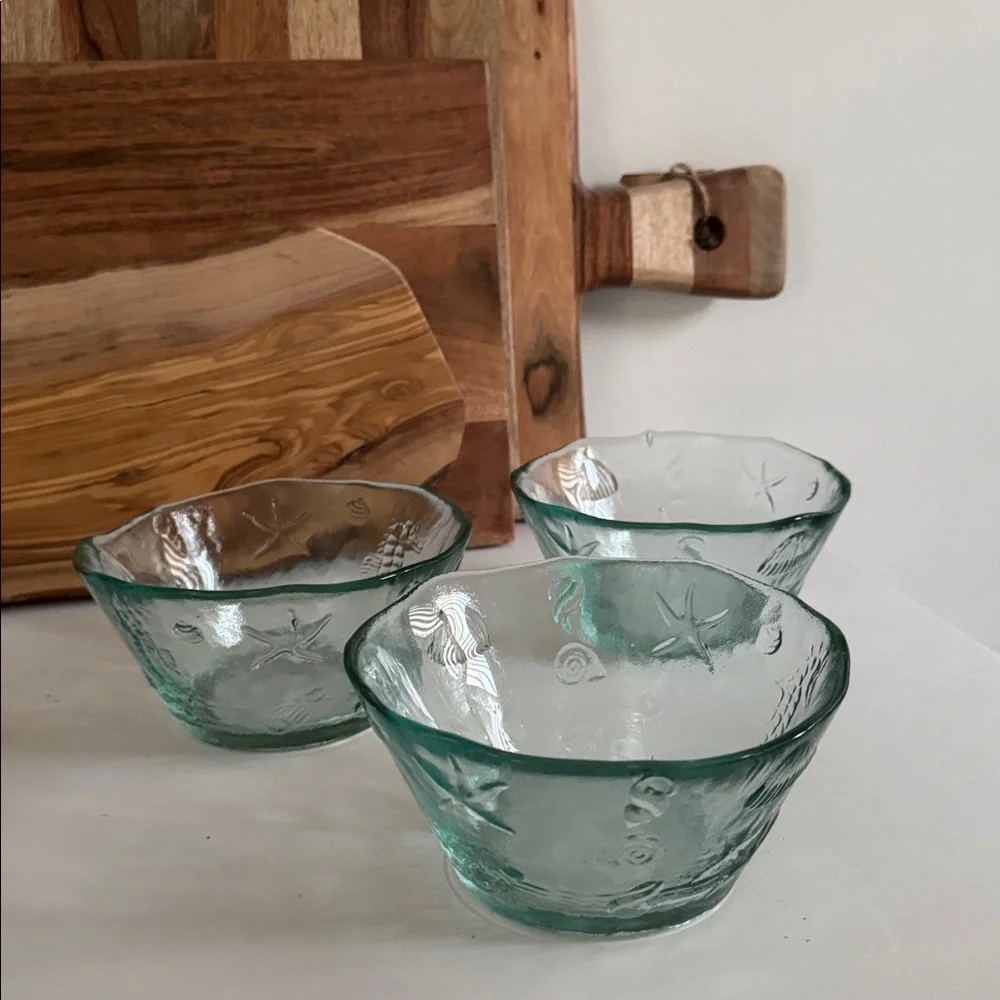 Spanish Recycled Green Glass Bowls with Coastal Theme Embossed Sea Creatures (3)